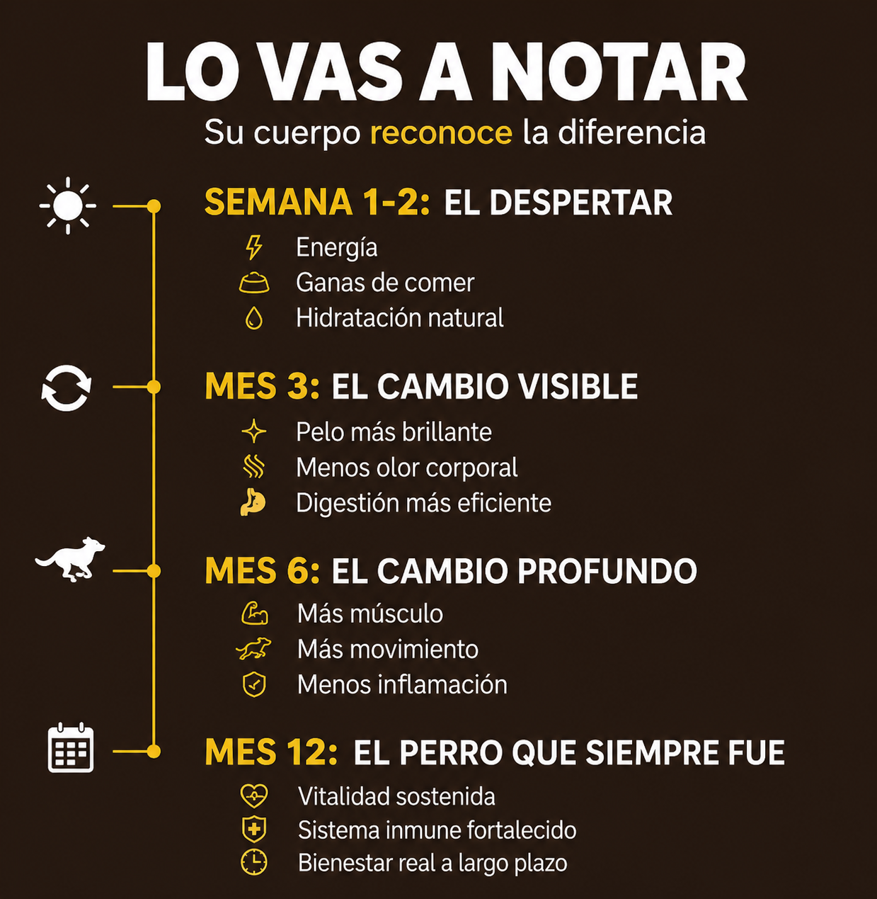 Comida natural para perros (bolsa 300 g)