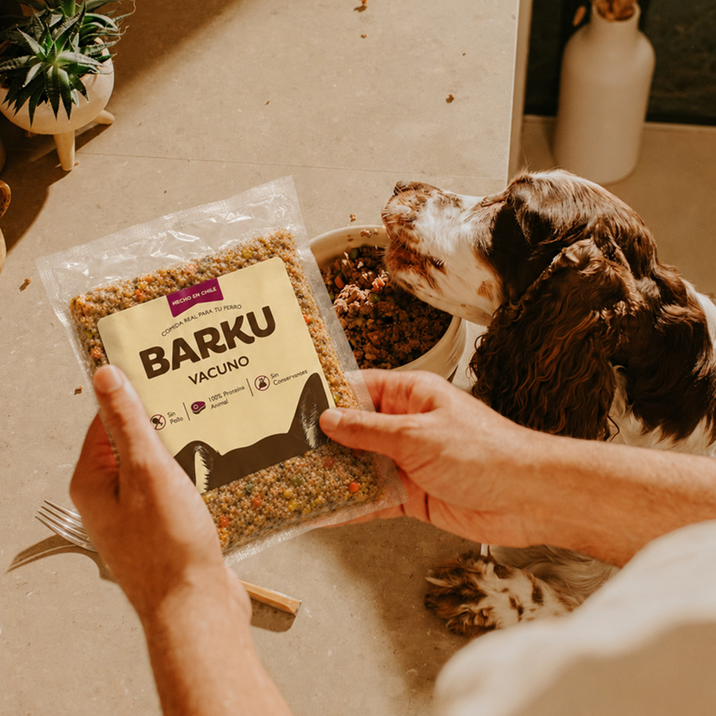 Comida natural para perros (bolsa 300 g)