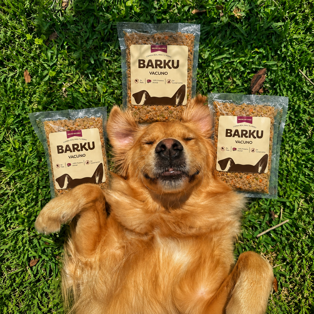Comida natural para perros (bolsa 300 g)