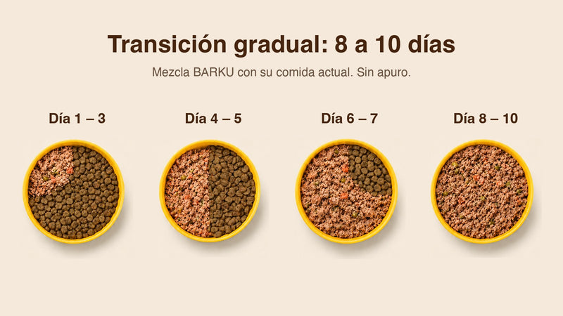 Transición de 8 a 10 días