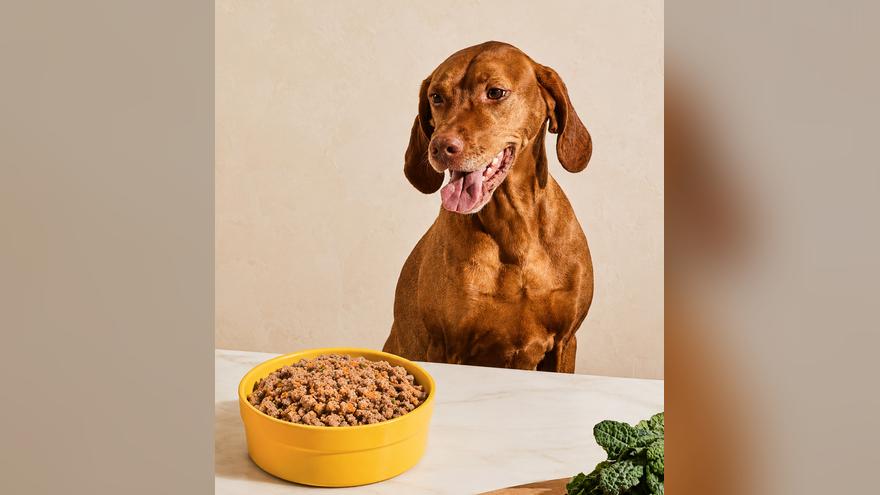 Perro esperando su plato de comida real BARKU